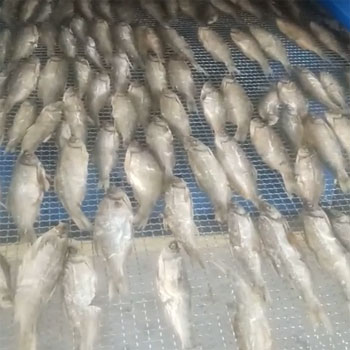 鱼虾海产品风能节能烘干机